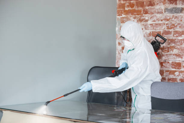 Best Environmental Consulting for Mold Prevention  in Ashland City, TN